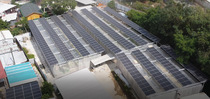 水耕大棚頂層建造了太陽能系統，透過上網電價補貼水耕種植成本。